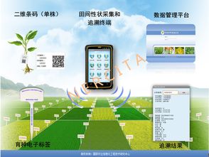 推動信息技術集成應用，助力現代農業轉型升級的優秀案例